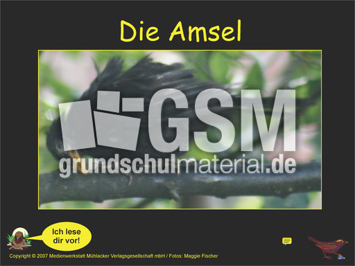 Amsel-Kl-1-2-Ton.pdf